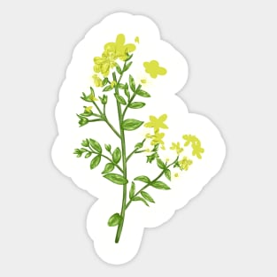 As Jons Worth Plant Botanical Sticker